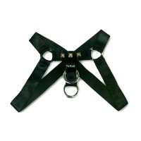 X-Rock Accessories Harness003